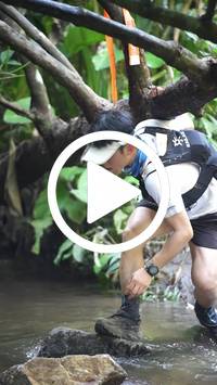 BIB:  <button type="button" onclick="openModal(27807416)" class="btn btn-primary btn-sm float-right" data-toggle="modal" data-target=".modal-high-quality">
                <i class="fa fa-download"></i> Download
                </button>